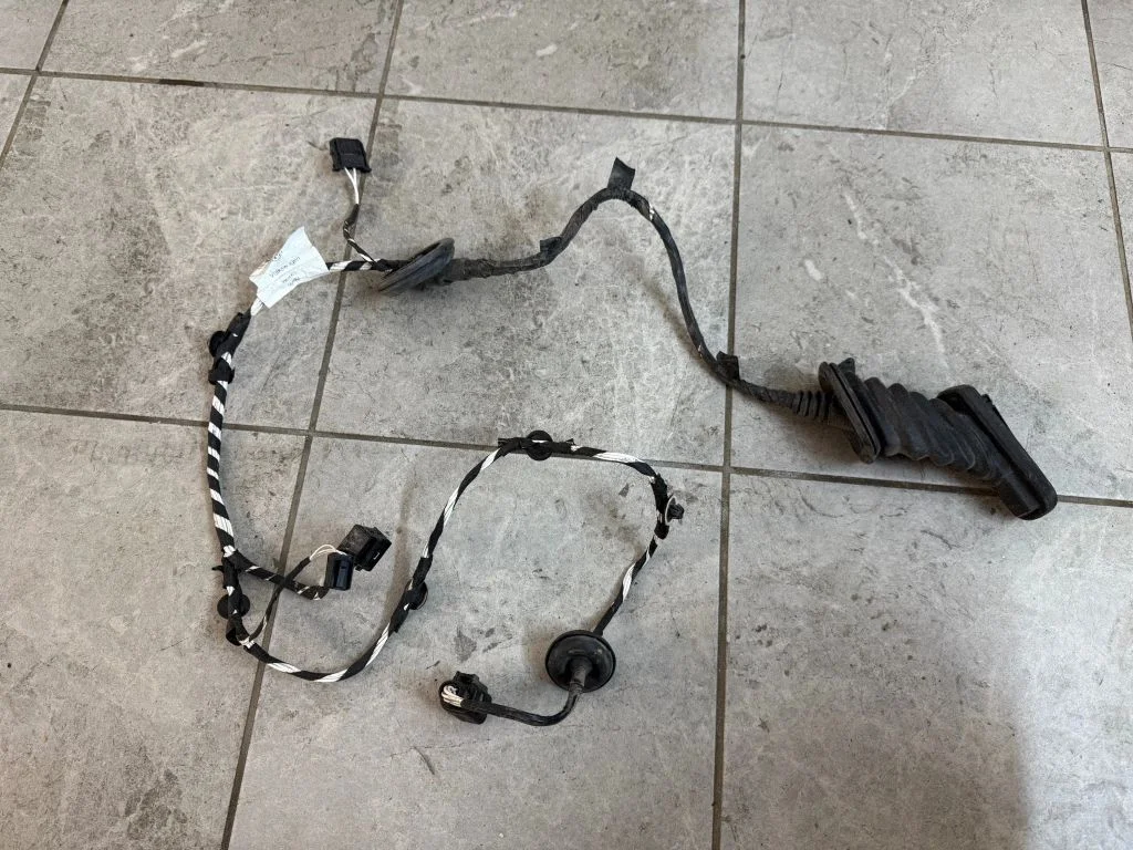 Rear door wiring loom 2H7971693Q