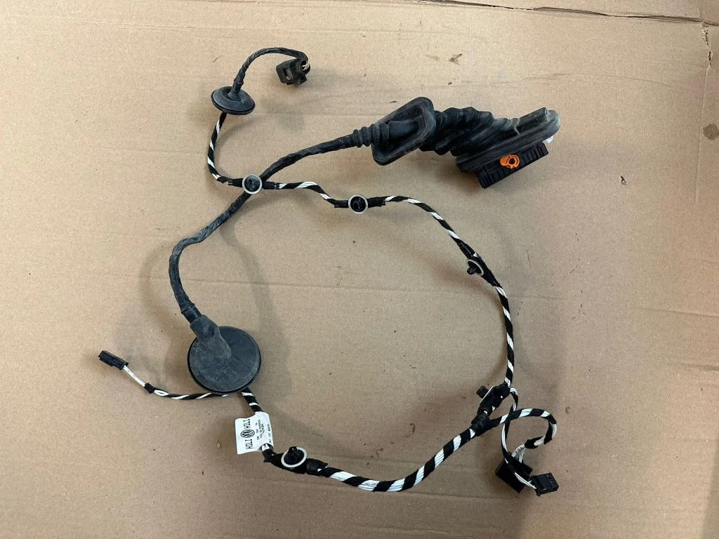 Rear door wiring loom 2H7971693L