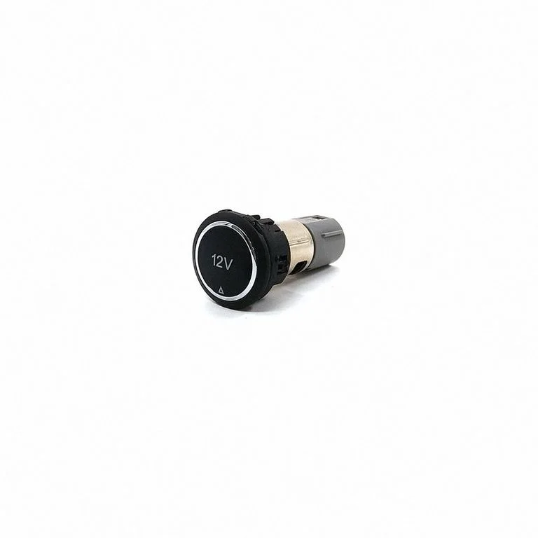 12 V lizdas (priekyje)