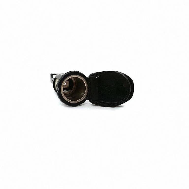 12 V lizdas (priekyje)