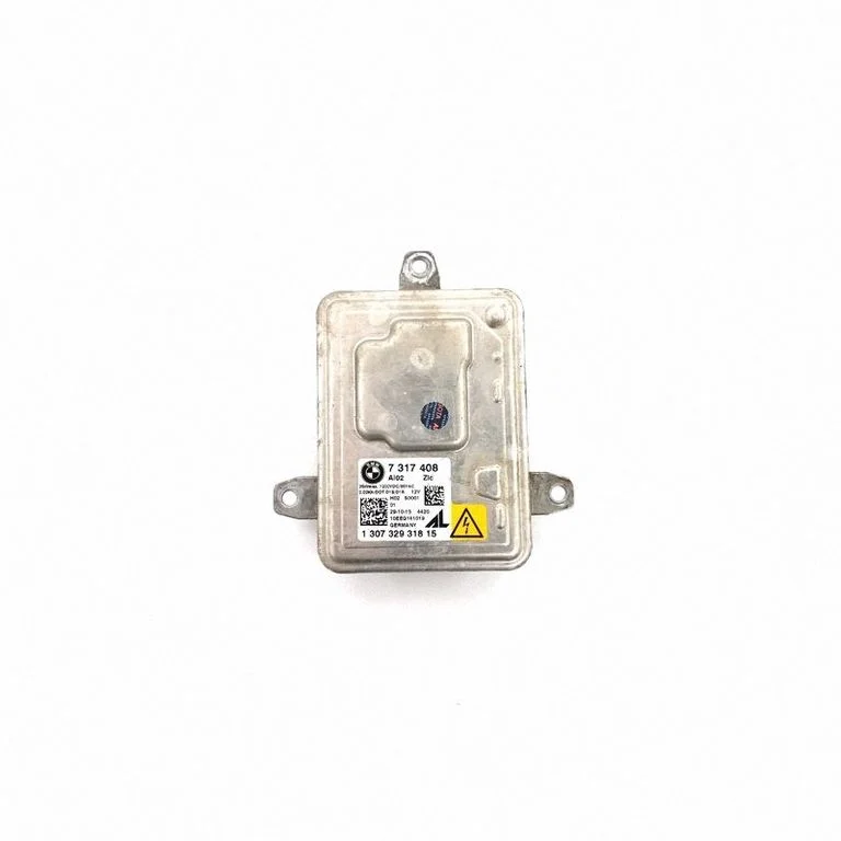 LED ballast control module 7317408