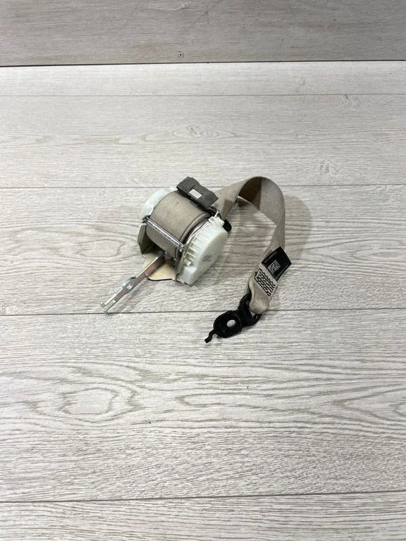 Aizmugurējā drošības josta 33061254B