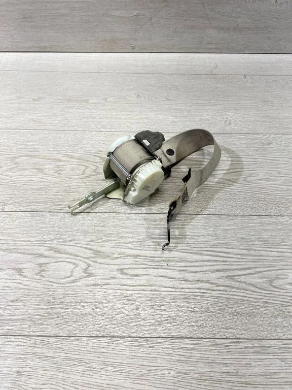 Aizmugurējā drošības josta 33061254B