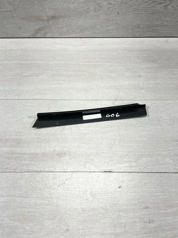 Rear door trim (molding) – BMW X6 G06 (2019-)