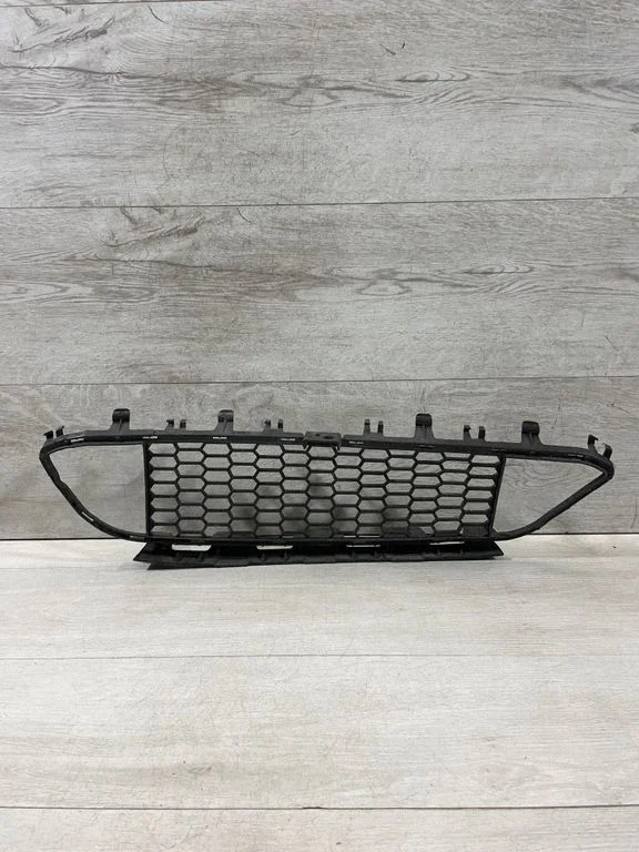 Front bumper lower grill 8054132