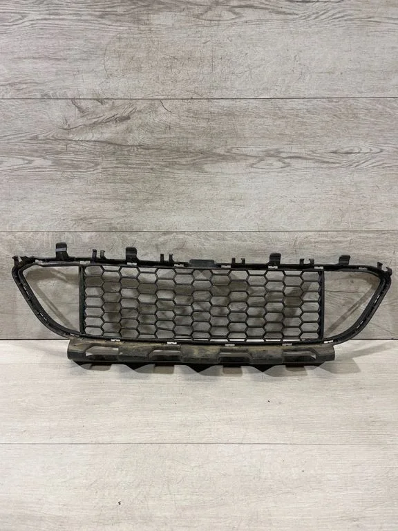 Front bumper lower grill 8054132