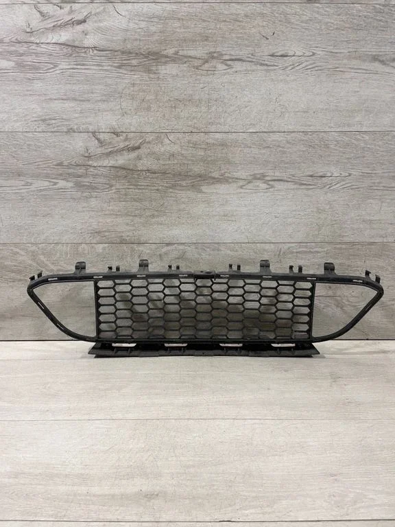 Front bumper lower grill 8054152