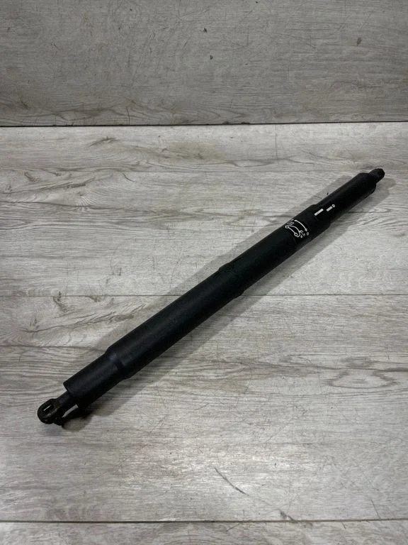 Tailgate/trunk strut/damper 7201939