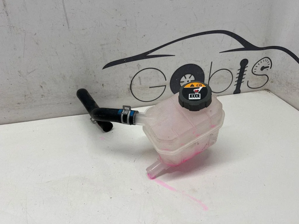 Coolant expansion tank/reservoir 254R0AT000