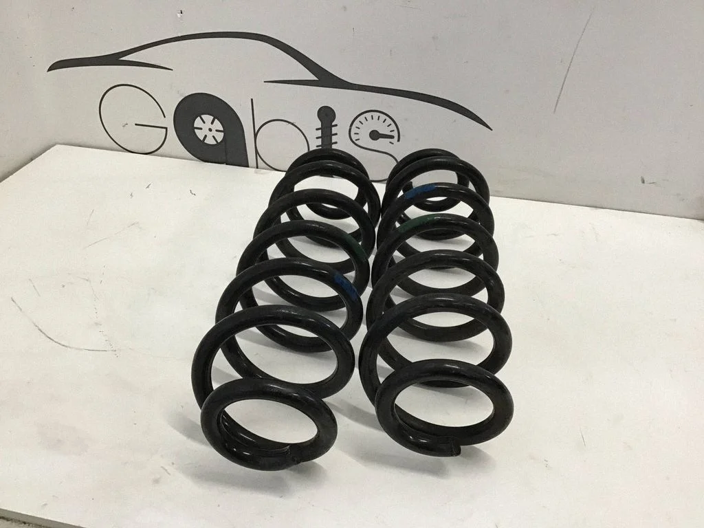 Rear coil spring