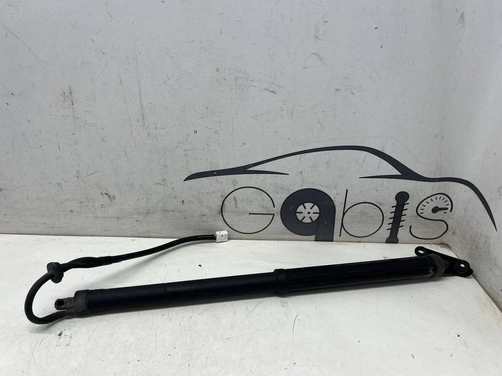 Tailgate/trunk strut/damper 6891042060 – Toyota RAV 4 (XA50) (2018-)