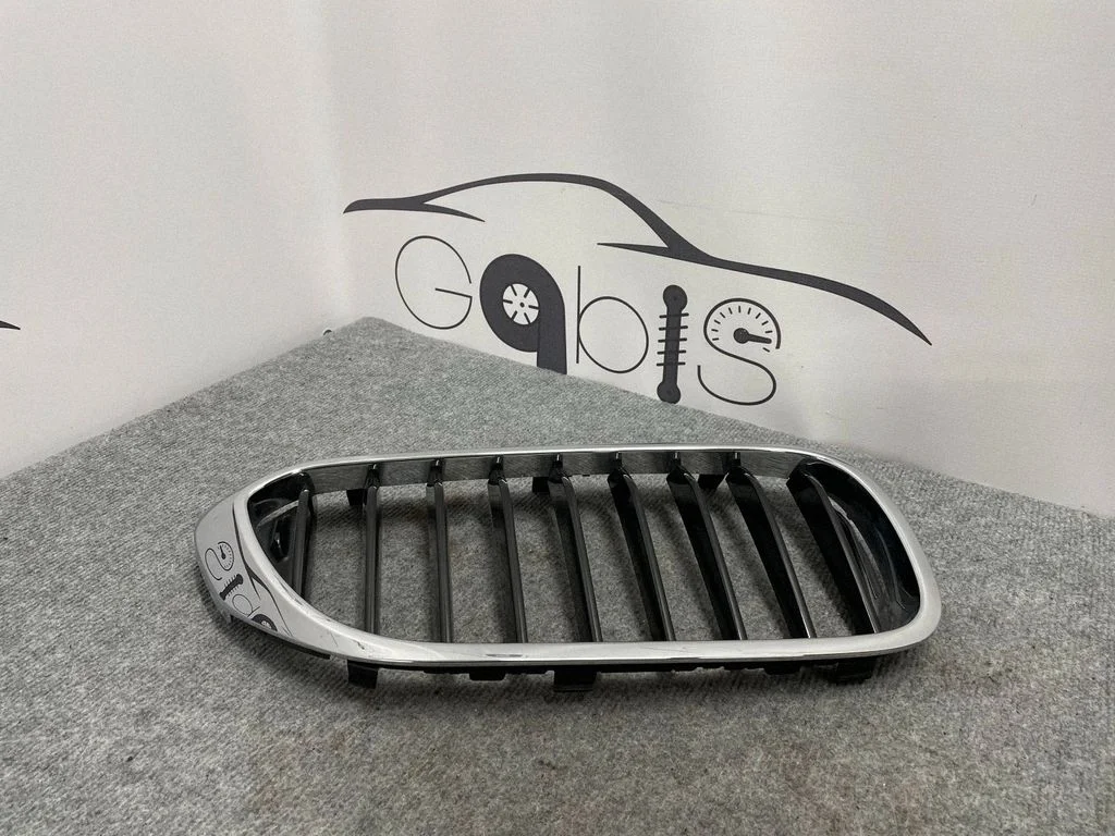 Front grill 7390866