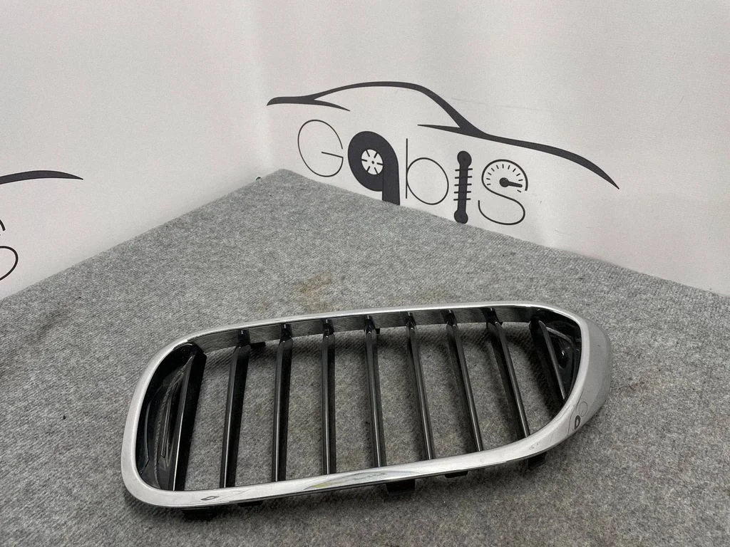 Front grill 7383519