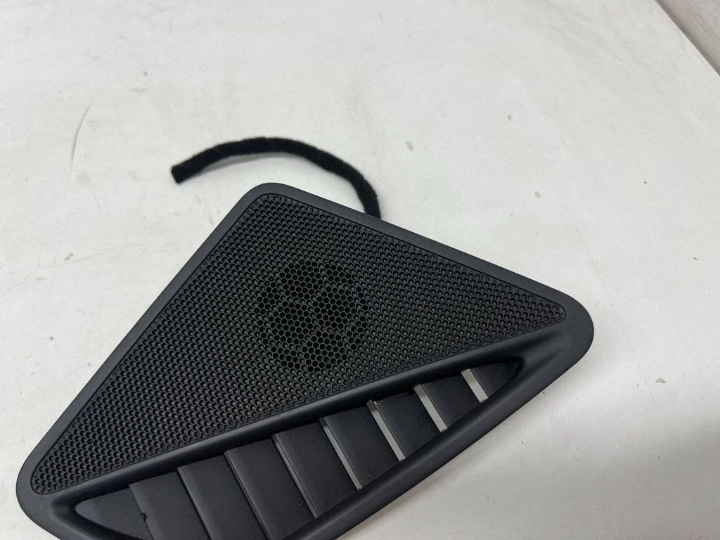 Panel speaker