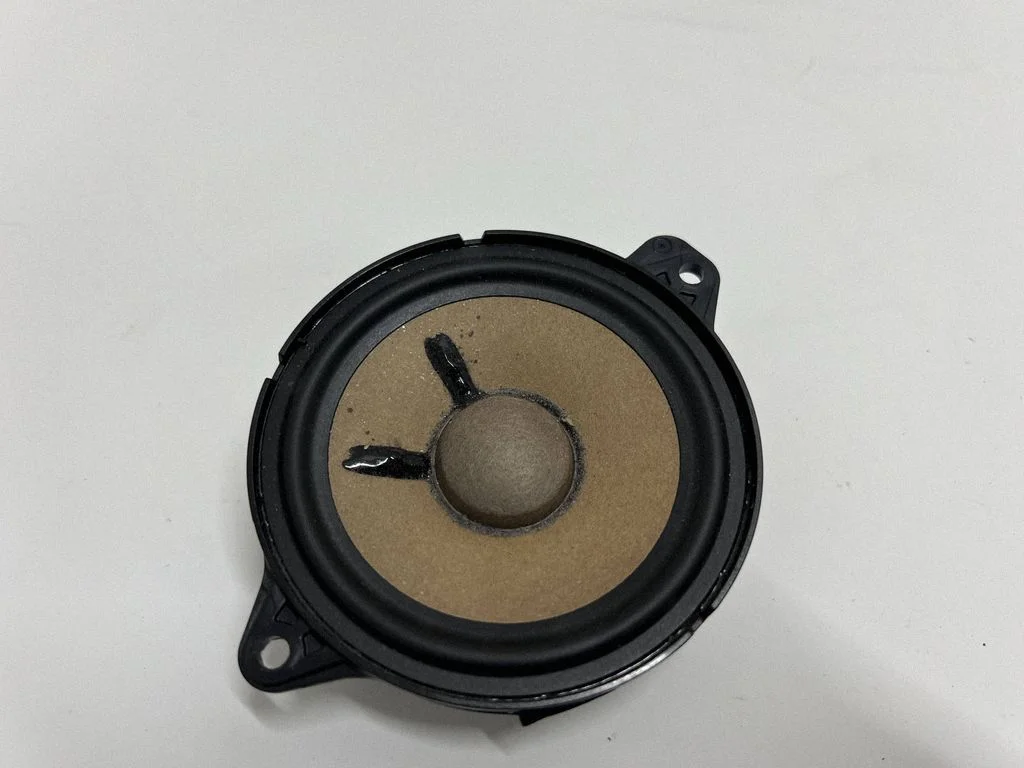 Panel speaker 80A035453A
