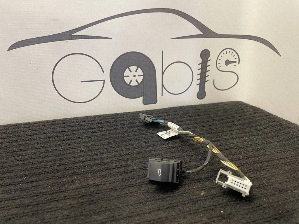 Tailgate opening switch 9303662