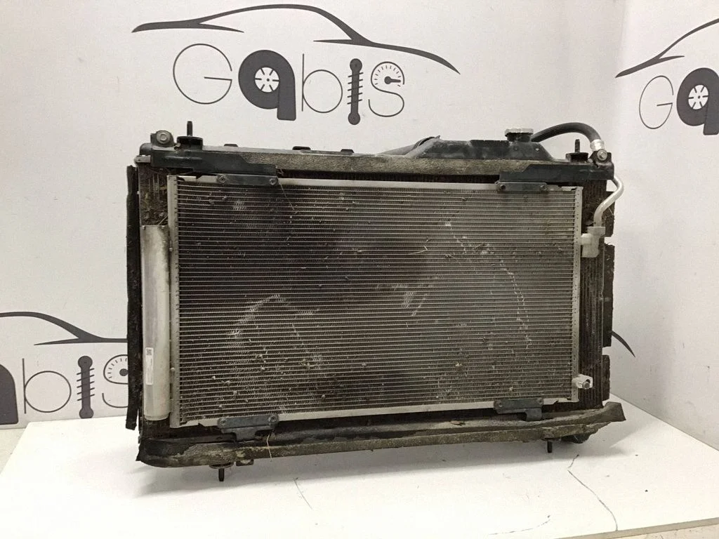 Radiaatorite komplekt 45120AN01A
