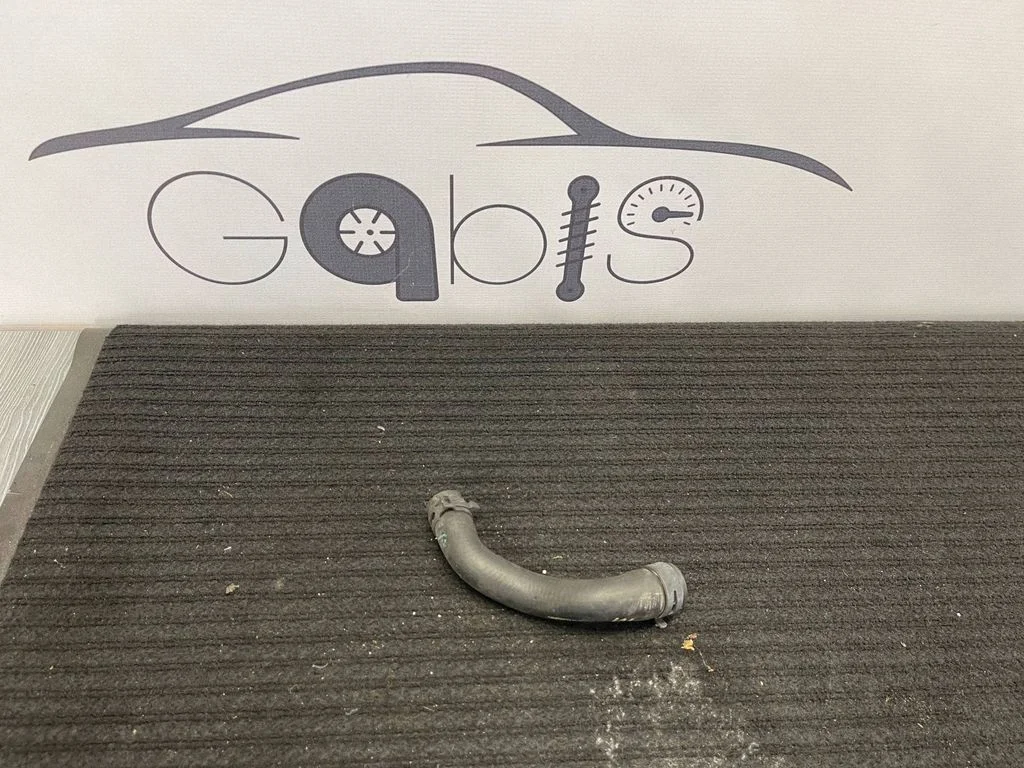 Engine coolant pipe/hose 99110681304
