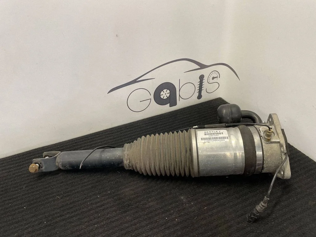 Rear shock absorber/damper 3W8616001
