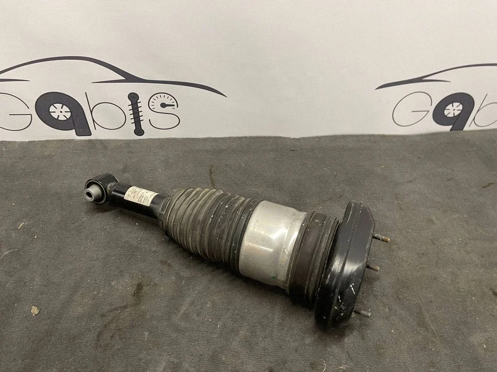 Rear shock absorber/damper 6882825