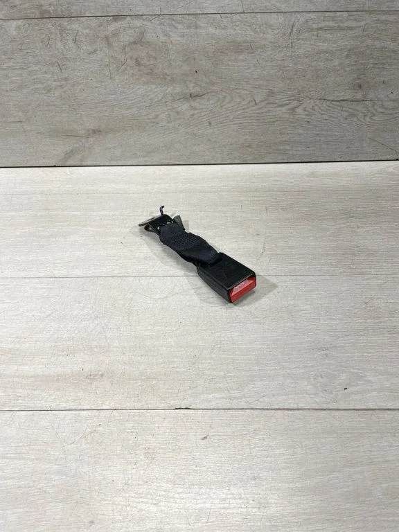 Rear seatbelt buckle 7266352
