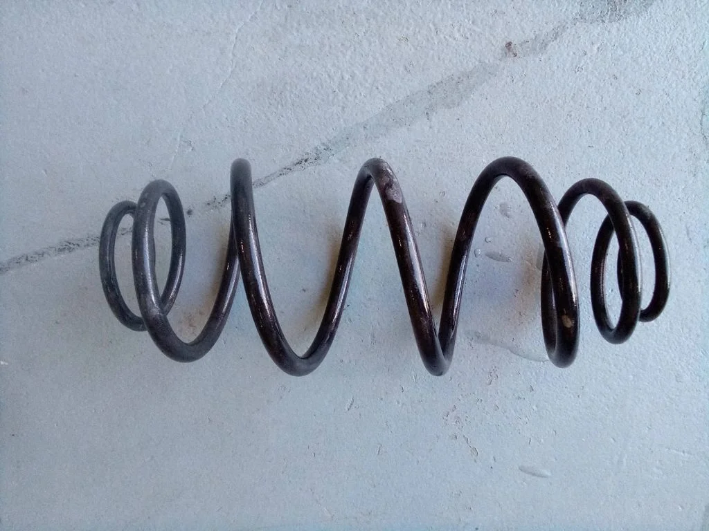 Rear coil spring