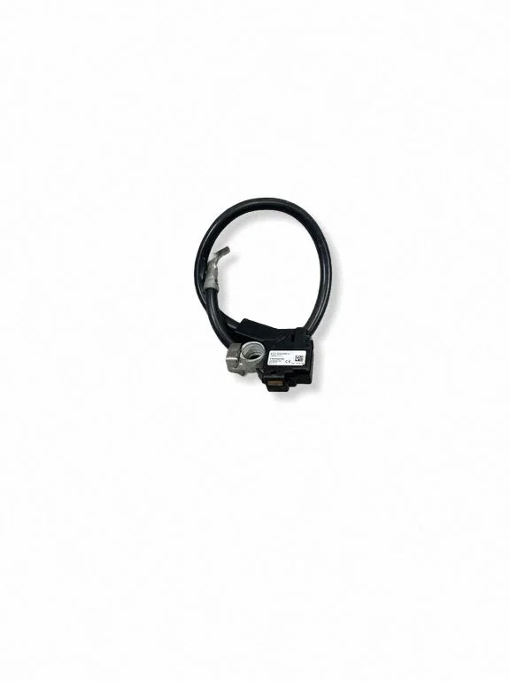 Negative earth cable (battery) – BMW X3 F25 (2010-2017)