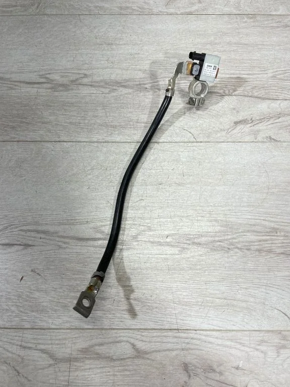 Mīnusa vads (akumulatora) 7631109 – BMW 1. sērija F20 F21 (2011-2019)