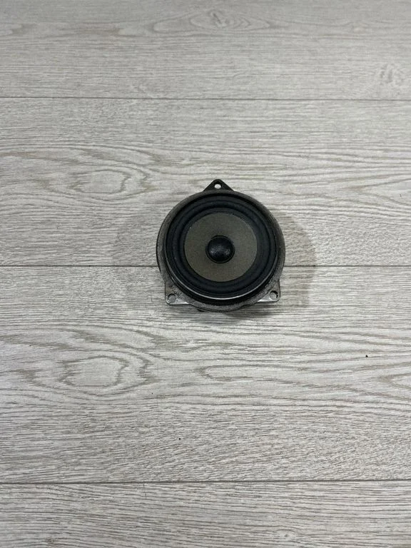 Skaļrunis (-ņi) priekšējās durvīs 9169692