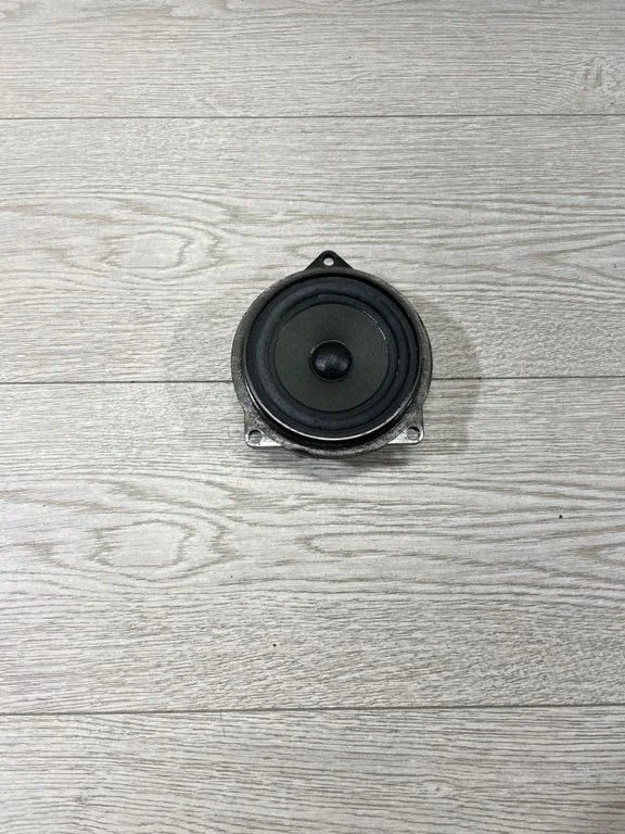 Skaļrunis (-ņi) priekšējās durvīs 9169692