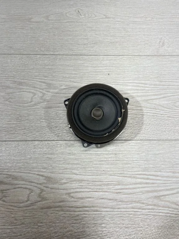 Front door speaker 9288769
