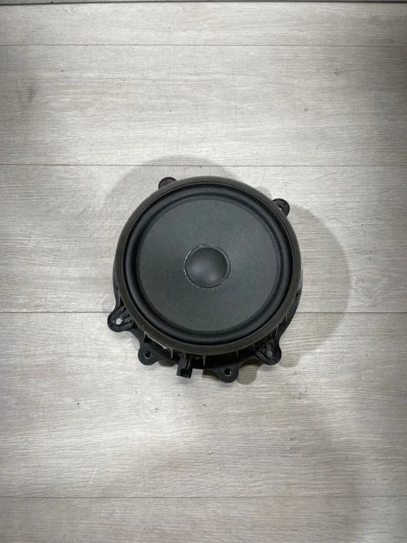 Front door speaker 107974400E – Tesla Model 3 (2017-)