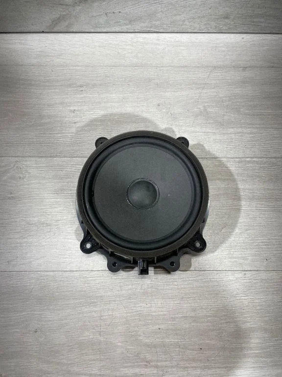 Front door speaker 107974400E – Tesla Model 3 (2017-)