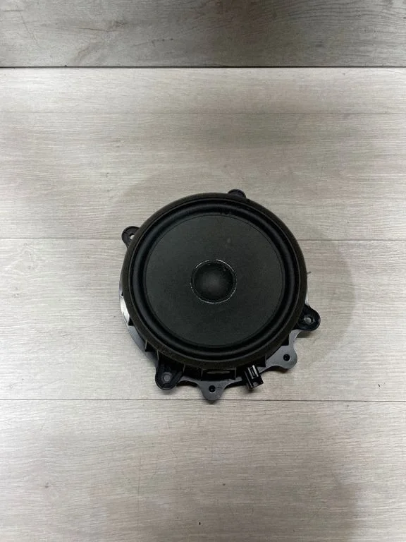 Front door speaker 107974400E – Tesla Model 3 (2017-)