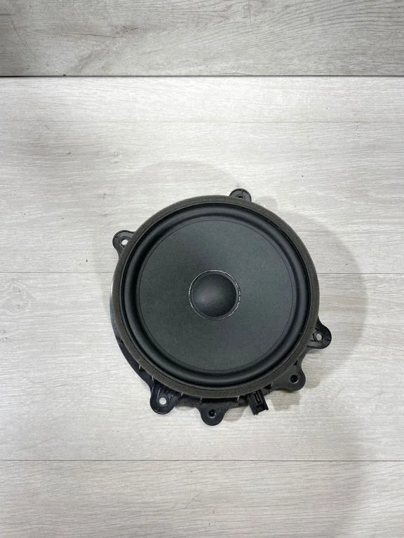 Front door speaker 107974400E – Tesla Model 3 (2017-)