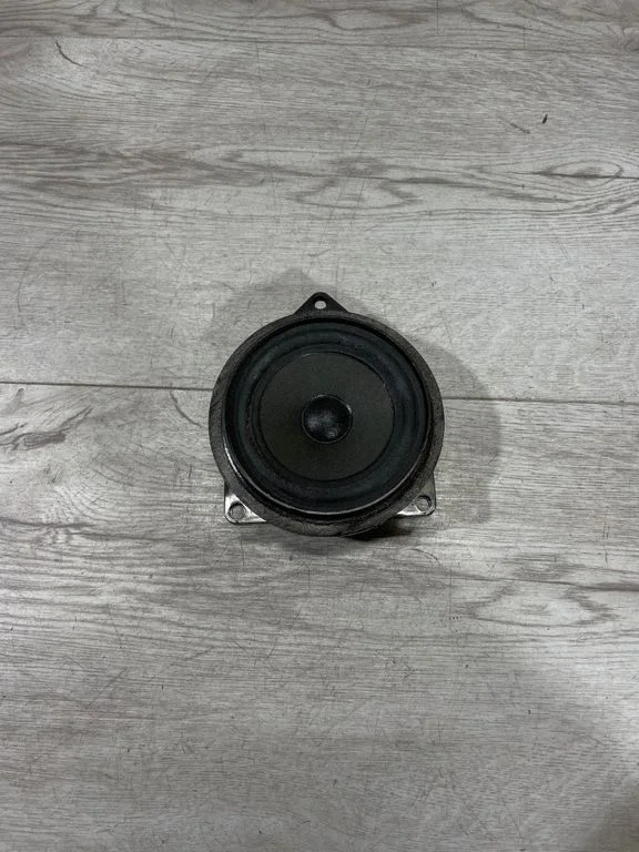Skaļrunis (-ņi) priekšējās durvīs 9169692
