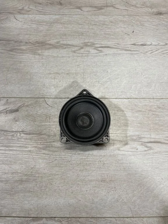 Panel speaker 107974200A – Tesla Model 3 (2017-)