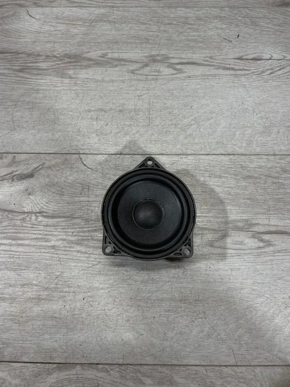 Panel speaker 107974200A – Tesla Model 3 (2017-)
