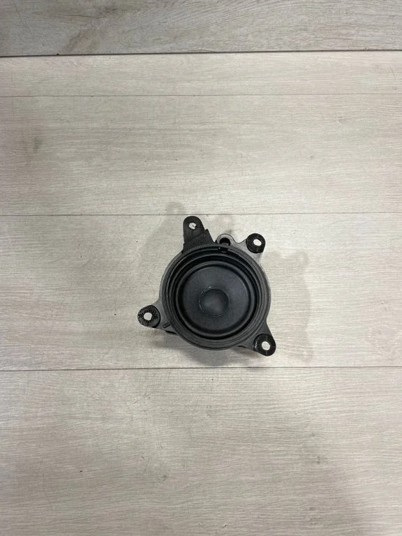 Panel speaker 107974200B – Tesla Model 3 (2017-)