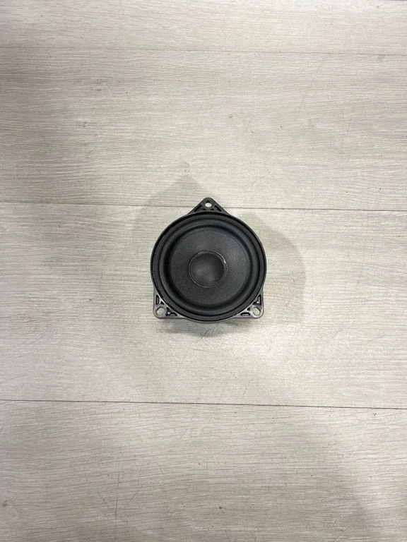 Panel speaker 107974200B – Tesla Model 3 (2017-)