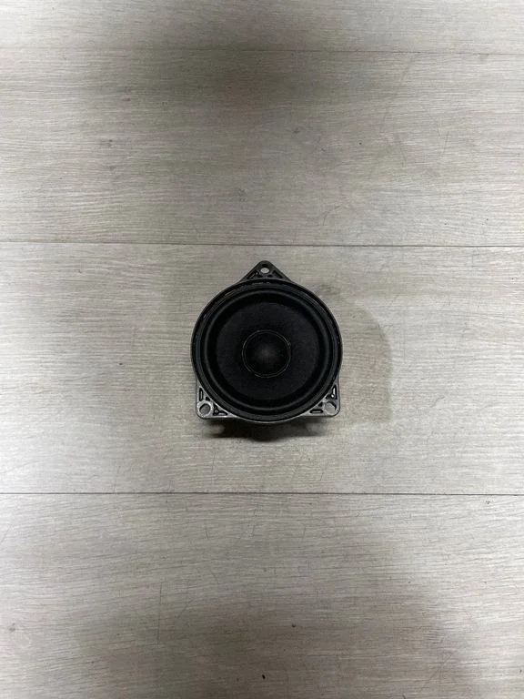 Panel speaker 107974200b – Tesla Model 3 (2017-)