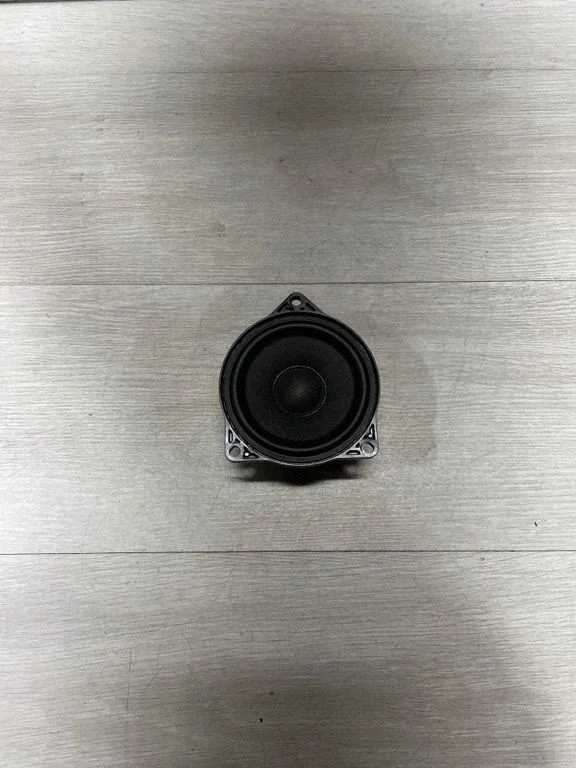Panel speaker 107974200b – Tesla Model 3 (2017-)