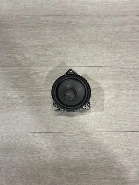 Panel speaker 107974200b – Tesla Model 3 (2017-)
