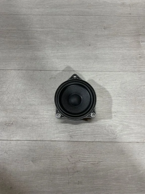 Panel speaker 107974200B – Tesla Model 3 (2017-)