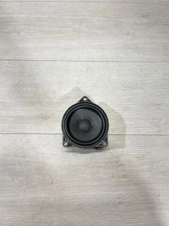 Panel speaker 107974200A – Tesla Model 3 (2017-)