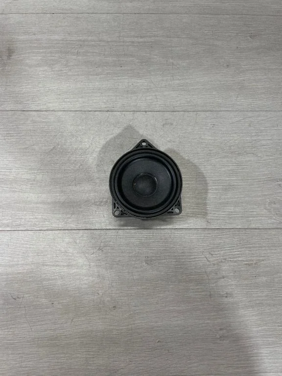 Panel speaker 107974200A – Tesla Model 3 (2017-)
