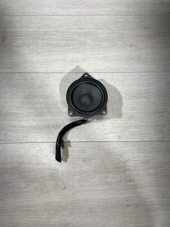 Panel speaker 107974200b – Tesla Model 3 (2017-)