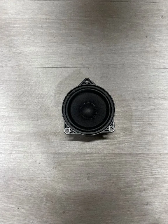 Panel speaker 107974200B – Tesla Model 3 (2017-)