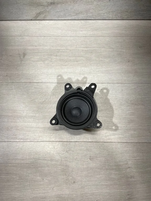Panel speaker 107974200B – Tesla Model 3 (2017-)