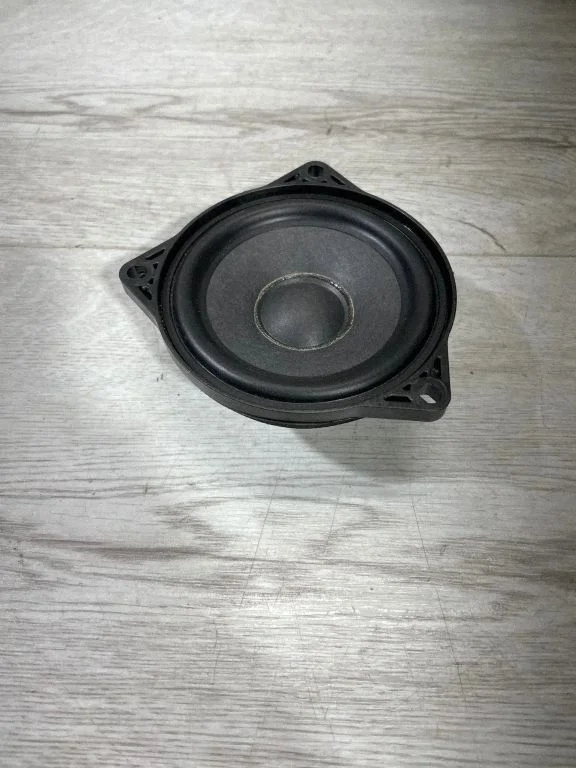 Panel speaker 107974200A – Tesla Model 3 (2017-)